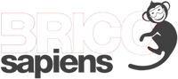 Bricosapiens