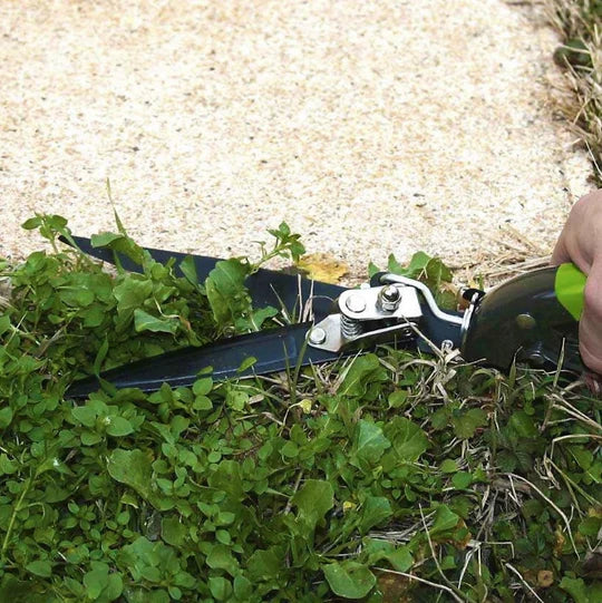 Forbice per erba serie pesante Verdemax