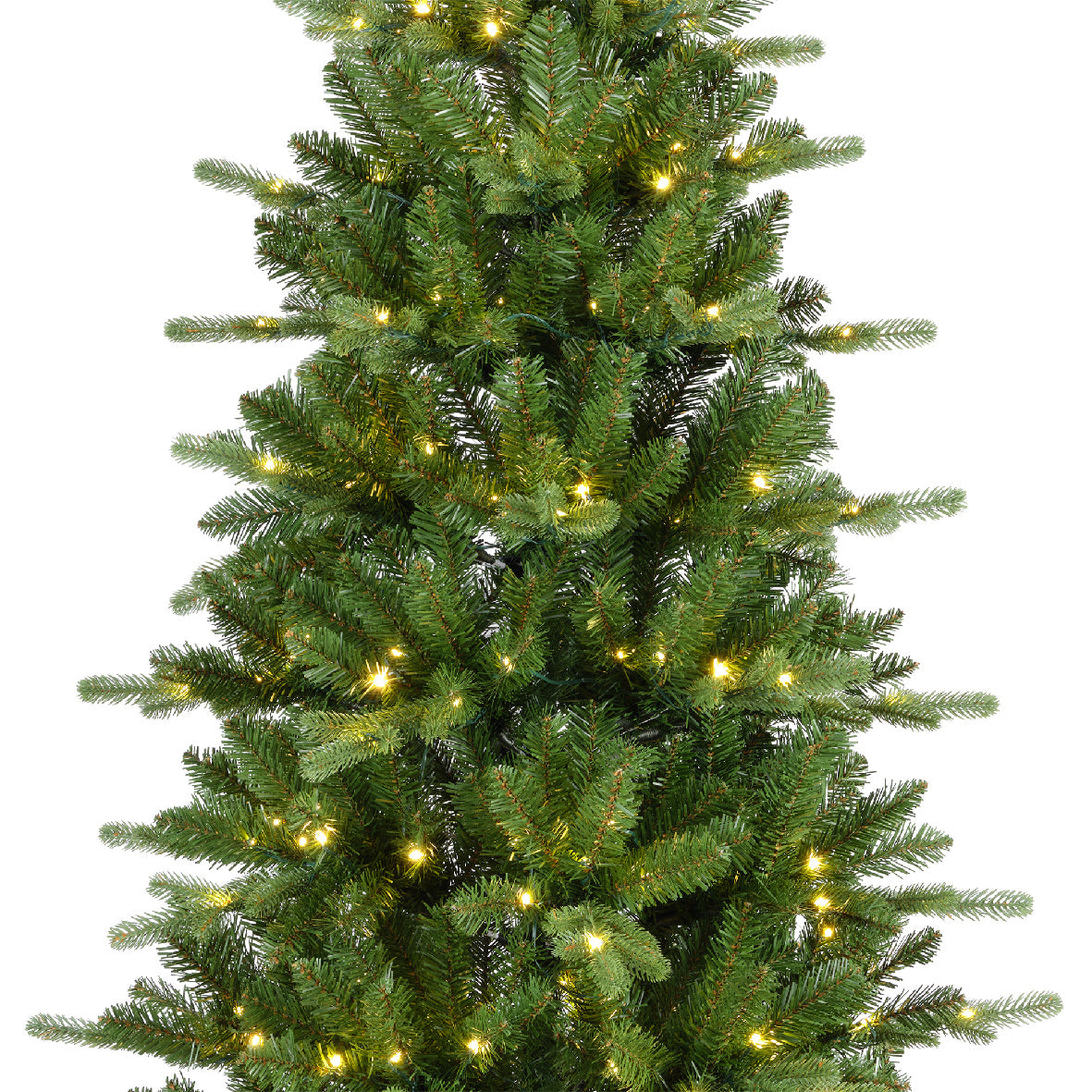 Albero di natale 