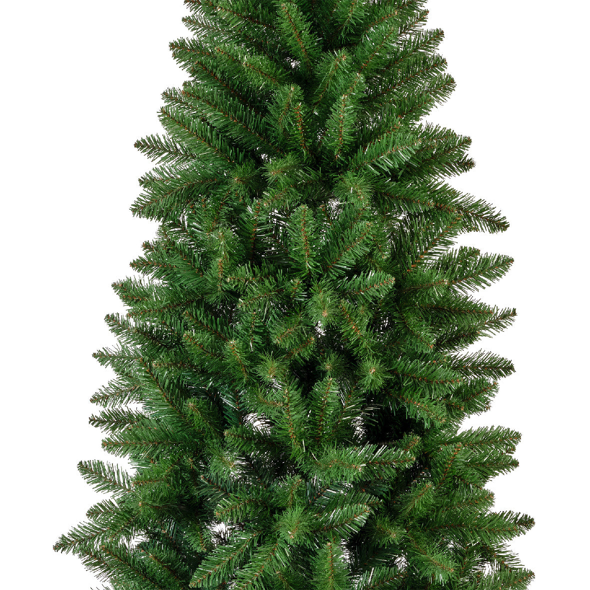 Albero di natale 