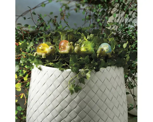 Lampada Solare da Giardino Kaemingk Lumineo su Picchetto, Soggetto Tartaruga o Lumaca Decorativa | Kaemingk