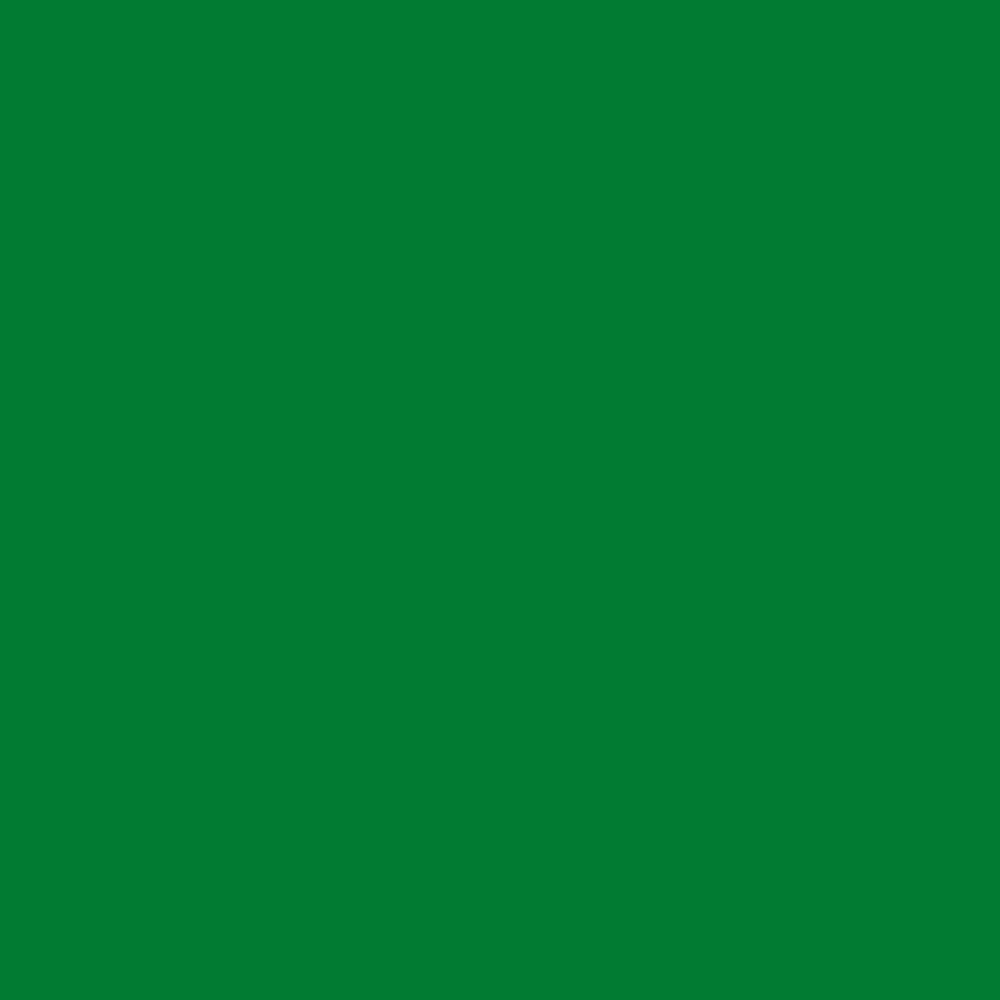 Vernice spray antiruggine Fernovus Saratoga verde brillante 400 ml