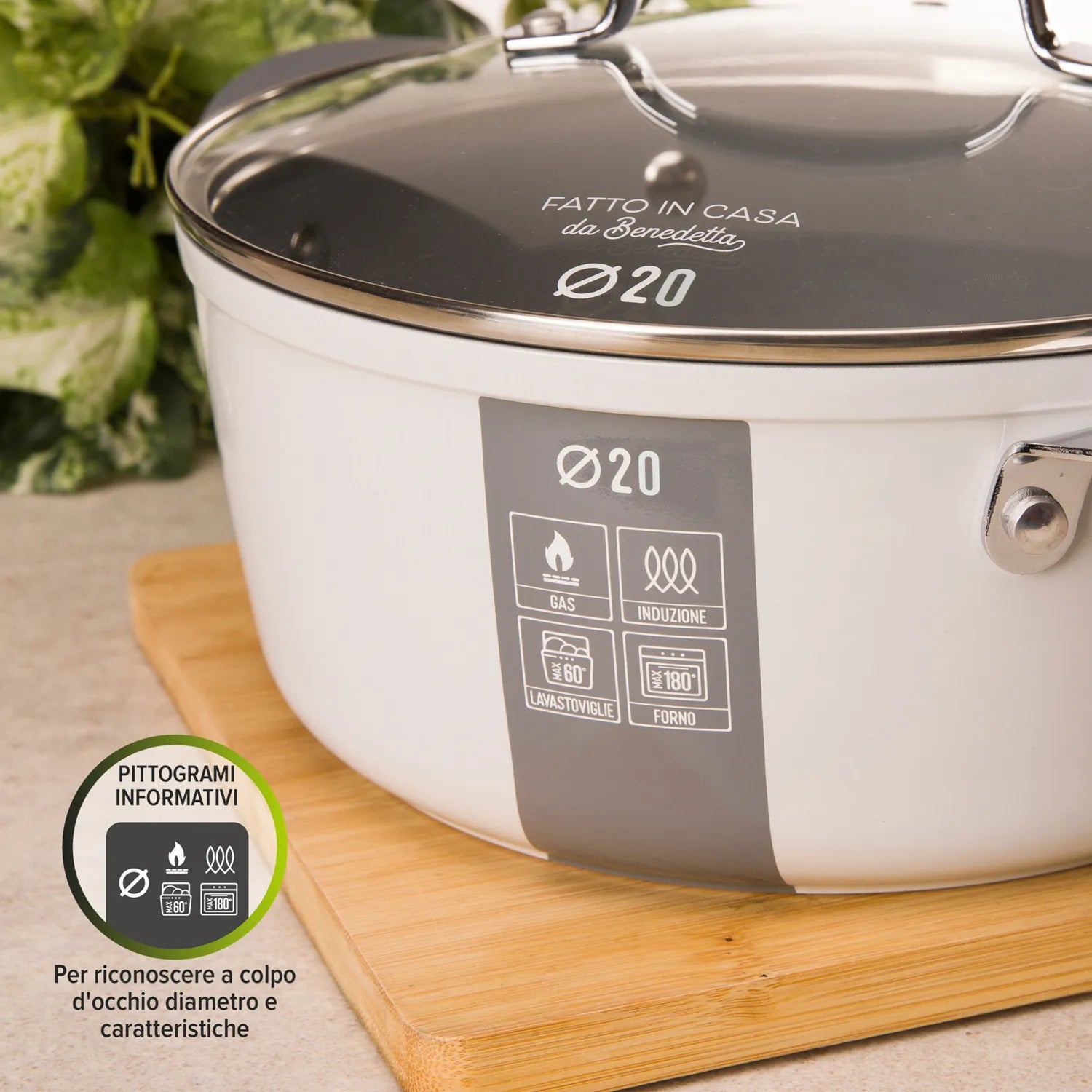 Casseruola Pentola Induzione Diametro 20 cm con Coperchio Linea 