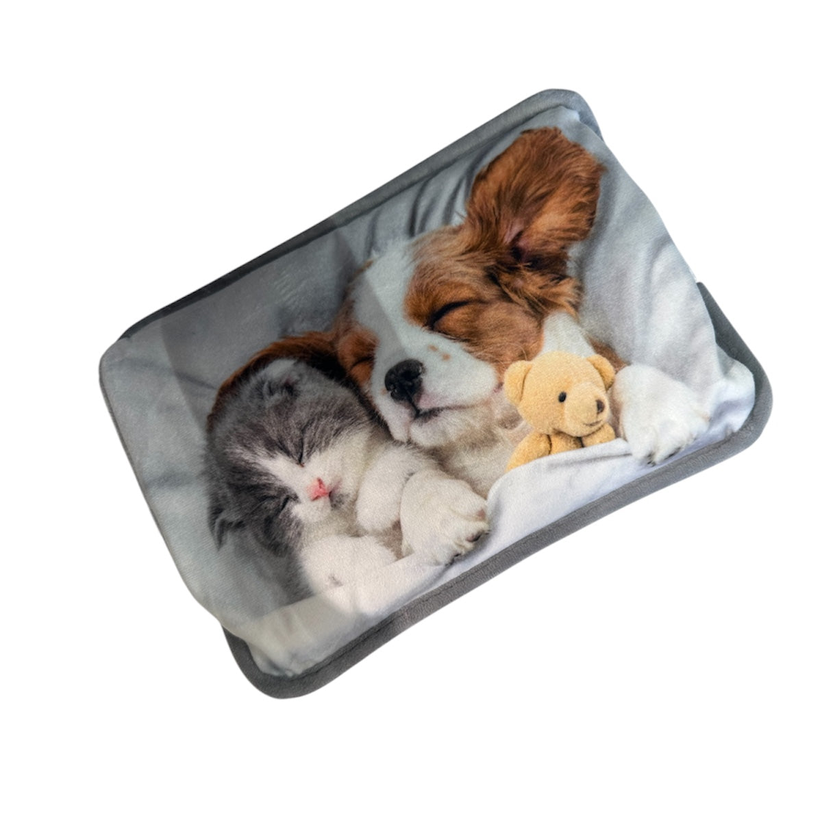 Borsa Boule dell'Acqua Calda Elettrica Ricaricabile per Riscaldamento Terapeutico | Kasanova