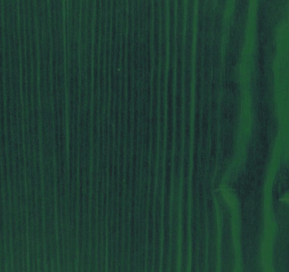 Vernice gel protettiva Acquagel color verde 2,5 litri V33