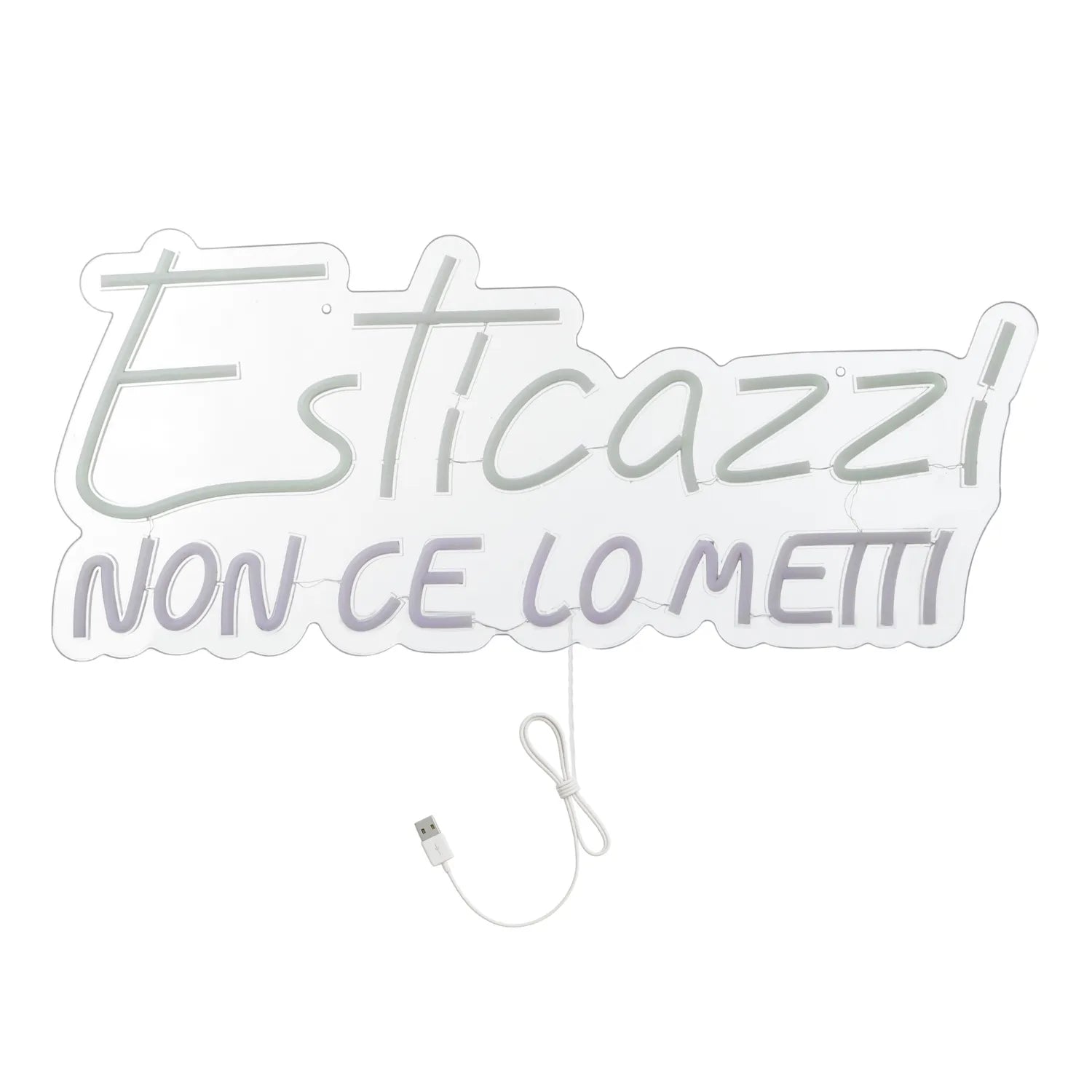 Insegna Luminosa a LED Esticazzi da Appendere Decorazione Ironica e Goliardica | Kasanova