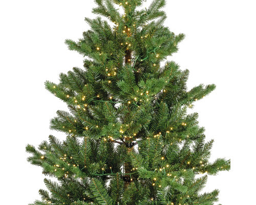 Albero di Natale Artificiale Alba LED H.240cm Colore Verde per Interno Indoor | Kaemingk