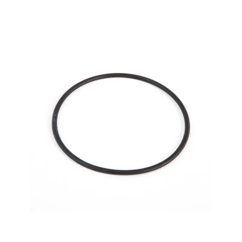 Kit Coperchio e Guarnizioni Bestway P07623 per Pompe Filtro Flowclear 5.678 L/h, Ricambio Originale | Bestway