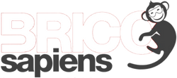 Bricosapiens