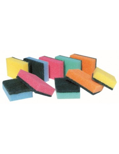 Spugne abrasive colorate multiuso Pippo